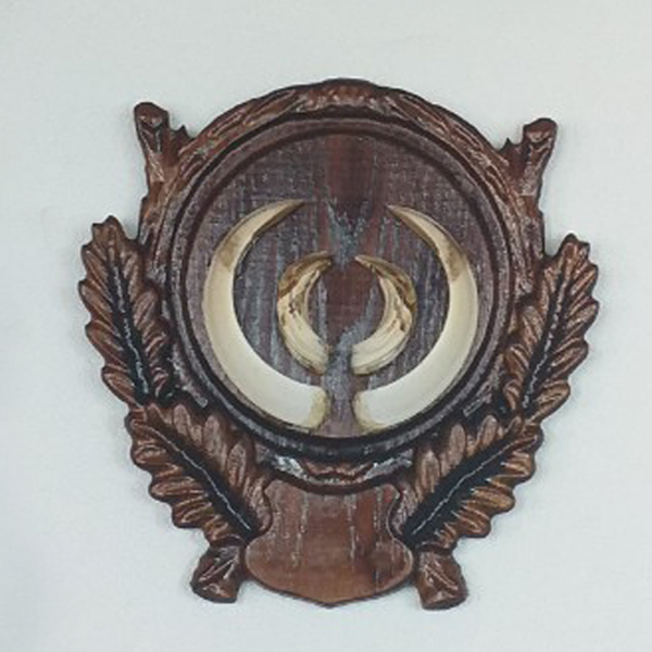 Holder for hunting trophy - Model  5