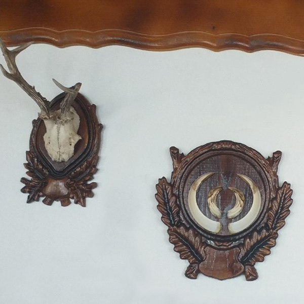 Holder for hunting trophy - Model  5