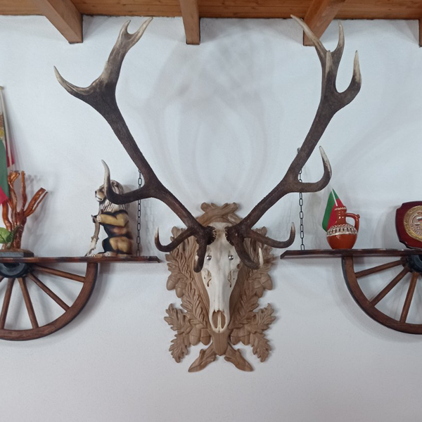 Wood-carved Holder for hunting trophy - Model  1
