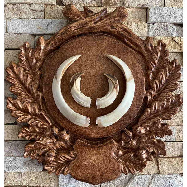 Holder for hunting trophy - Model   3
